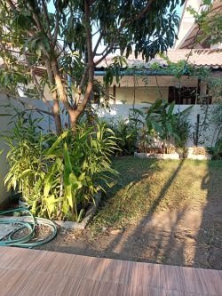 ID: 4602- Modern house with swimming pool near Faculty of Law and Political Science for rent