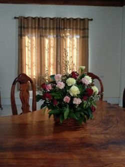 ID: 4561-The beautiful house near Five April international shooting range for rent