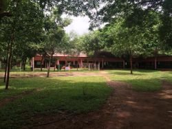 ID: 4439 - Business Opportunity, Property for business and agriculture, for sale in Ban Kern, Vienti