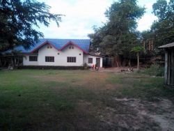 ID: 3624 - Pretty house with large garden for sale