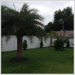 ID: 4104 - Adorable house with large garden for rent in Ban Nonghai