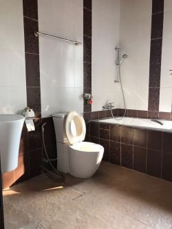 ID: 3961 - Contemporary Lao style house in Luangphrabang near Mekong River for sale