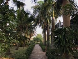 ID: 3961 - Contemporary Lao style house in Luangphrabang near Mekong River for sale