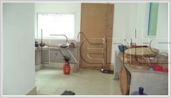 ID: 2294 - New modern house with large garden for sale in Viengchalern Village