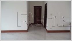 ID: 2294 - New modern house with large garden for sale in Viengchalern Village