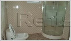 ID: 2294 - New modern house with large garden for sale in Viengchalern Village