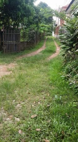 ID: 3791 - Nice house for rent near BBQ Dome Restaurant