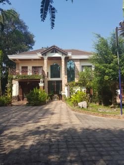 ID: 4085 - Modern house with nice garden and large parking in Ban Somsanga for sale