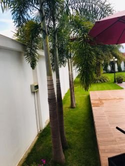 ID: 4495-New modern house with swimming pool near golf range for sale in Ban Nonghai