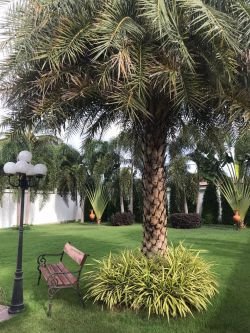 ID: 4495-New modern house with swimming pool near golf range for sale in Ban Nonghai