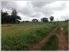ID: 2520 - Rice paddy field near Wat Phonpanao for sale