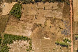 ID: 4423 - Agriculture large of land in Ban Phailom