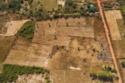 ID: 4423 - Agriculture large of land in Ban Phailom