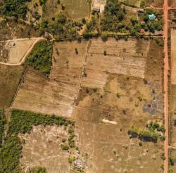 ID: 4423 - Agriculture large of land in Ban Phailom