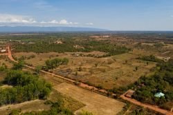 ID: 4423 - Agriculture large of land in Ban Phailom