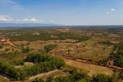 ID: 4423 - Agriculture large of land in Ban Phailom