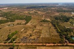 ID: 4423 - Agriculture large of land in Ban Phailom