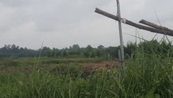 Land plots on a large nature land next to concrete road for rent