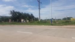 Land plots on a large nature land next to concrete road for rent