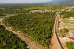 ID: 4424 - Large land for sale in Ban Somsavat