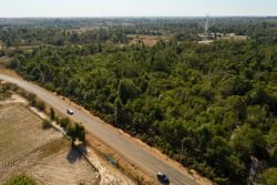 ID: 4424 - Large land for sale in Ban Somsavat