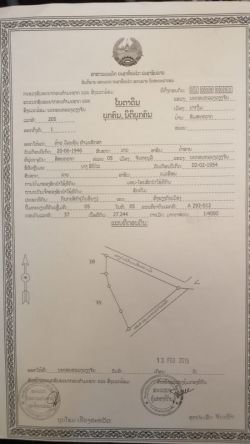 ID: 4424 - Large land for sale in Ban Somsavat