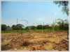 ID: 2460 - Large vacant land for rent at Nongduang village