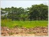 ID: 2460 - Large vacant land for rent at Nongduang village