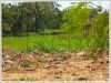 ID: 2460 - Large vacant land for rent at Nongduang village