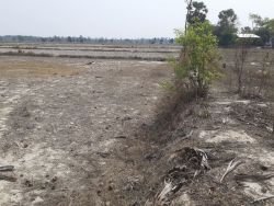 ID: 4435 - Agriculture land in km 31 for sale in Ban Borlek