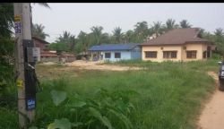 ID: 4576 - Nice land 30m from concrete road near Somvang Km8 market for sale