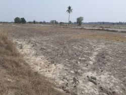 ID: 4435 - Agriculture land in km 31 for sale in Ban Borlek