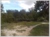 ID: 300 - Nice Large land for sale at Champasak province