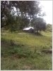ID: 300 - Nice Large land for sale at Champasak province