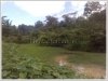 ID: 300 - Nice Large land for sale at Champasak province
