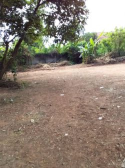 ID: 4245 - Surfaced land near 150 Tieng hospital for sale