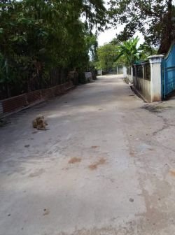 ID: 4245 - Surfaced land near 150 Tieng hospital for sale