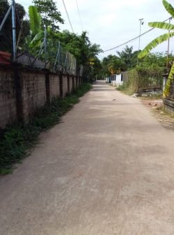 ID: 4245 - Surfaced land near 150 Tieng hospital for sale