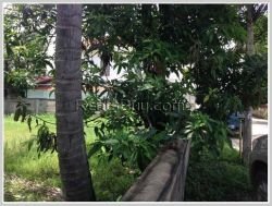 ID: 3075 - Vacant land in town next to concrete road for sale in Chanthabouly district