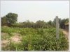 ID: 1328 - Nice vacant land at Ban Huayhong Village