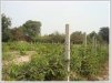ID: 1328 - Nice vacant land at Ban Huayhong Village