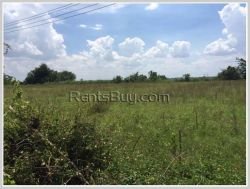 ID: 3614 - Vacant land near Mekong River for sale