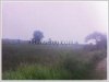 ID: 1119 - Vacant land for sale in town near Beer Lao Factory