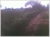 ID: 1119 - Vacant land for sale in town near Beer Lao Factory