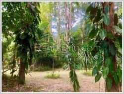ID: 4343 - Agriculture land for sale in Naxaythong district, Vientiane capital