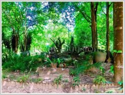 ID: 4343 - Agriculture land for sale in Naxaythong district, Vientiane capital