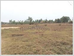 ID: 3959 - Rice field Land for sale in Ban Nasiew, Nxaythong district