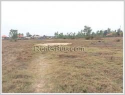 ID: 3959 - Rice field Land for sale in Ban Nasiew, Nxaythong district