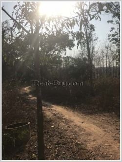 ID: 3997 - Land for Agriculture for sale in Naxaythong district