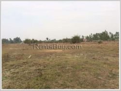 ID: 3959 - Rice field Land for sale in Ban Nasiew, Nxaythong district